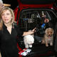 Image for article titled Chicago Auto Show: Volvo Goes To The Dogs